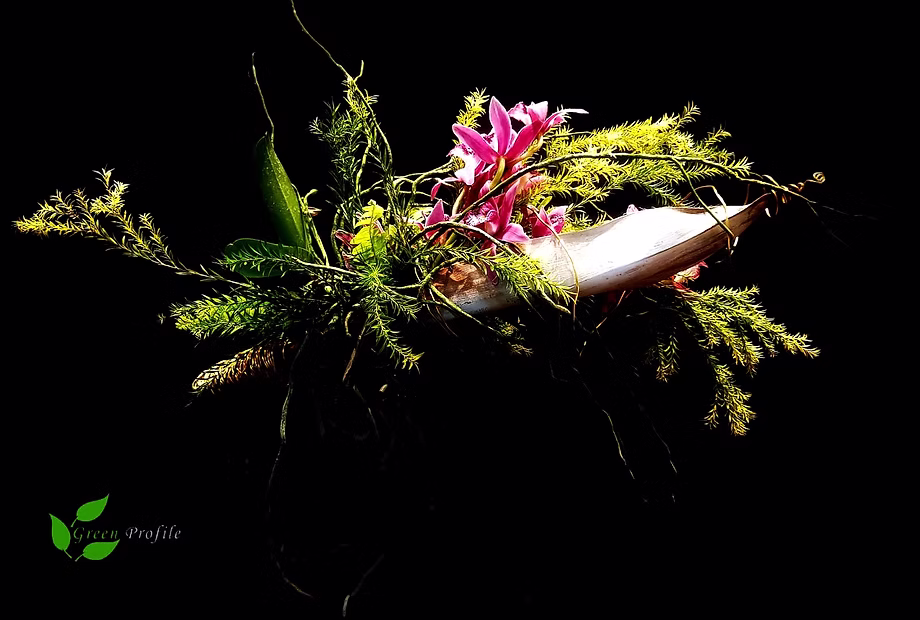 Floral Centrepiece